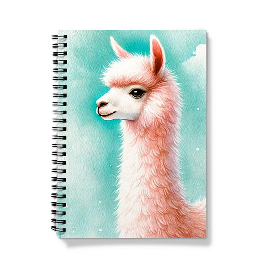 Llama No Drama Notebook