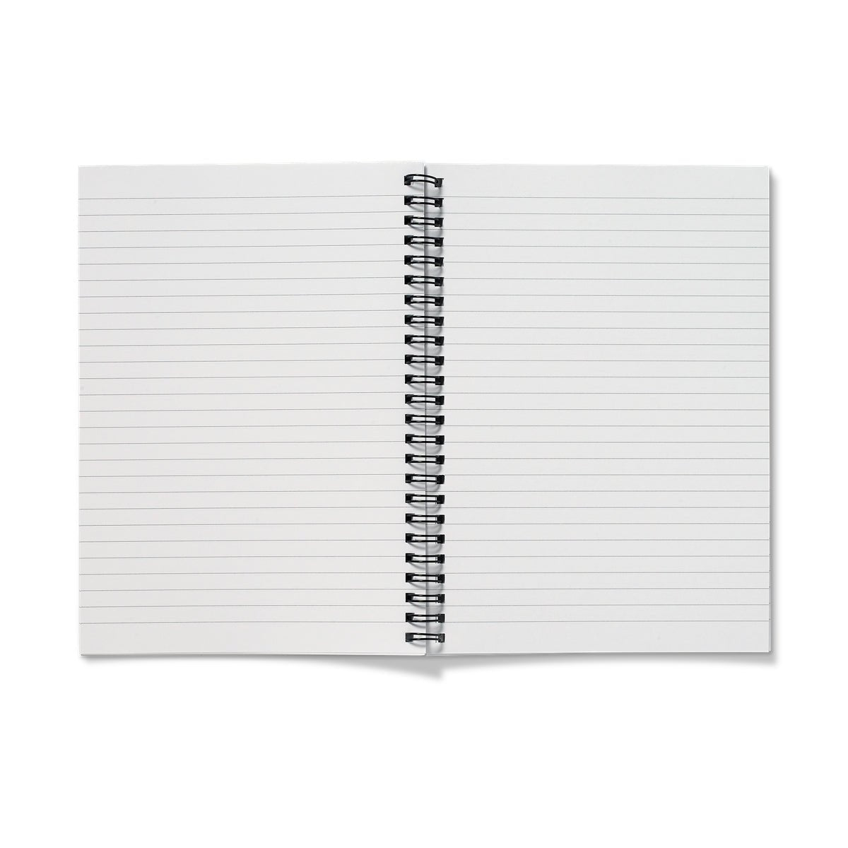 Mallard Notebook