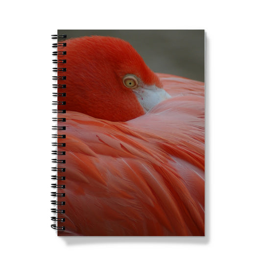 Be A Flamingo Spiral Notebook