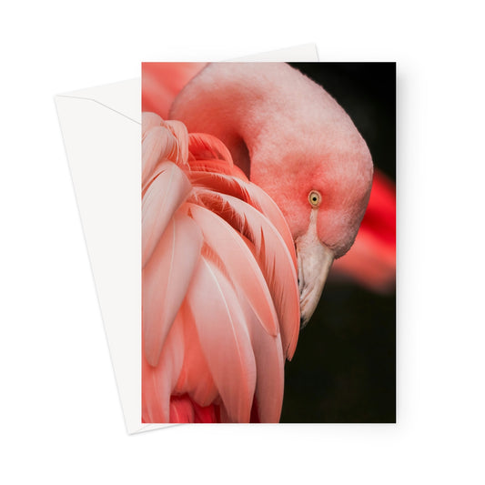 image0