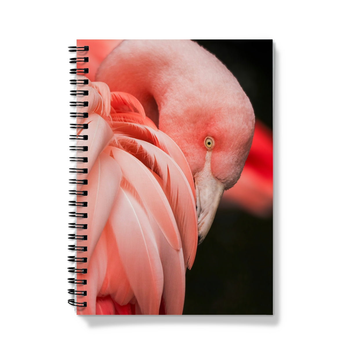 Fabulous Flamingo Spiral Notebook