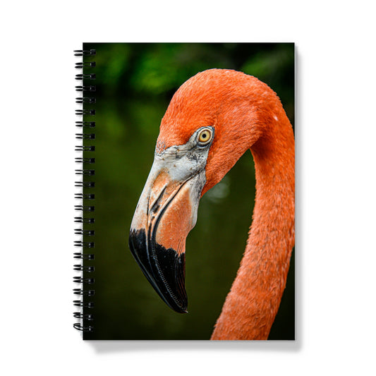 Beautiful Flamingo Spiral Notebook